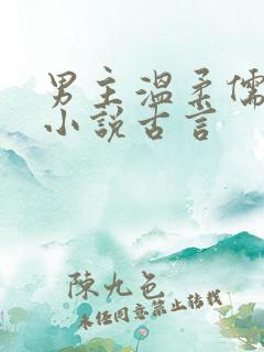 男主温柔儒雅的小说古言