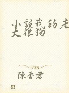 小说我的老公是大狼狗