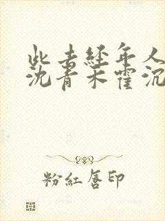 此去经年人未还沈青禾霍沉洲后续