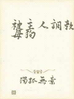 被主人调教成骚母狗