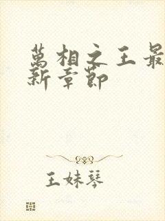 万相之王最新更新章节