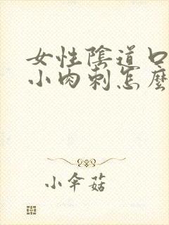 女性阴道口上有小肉刺怎么回事