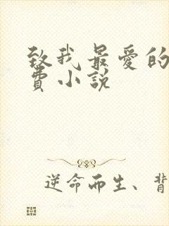 致我最爱的你免费小说