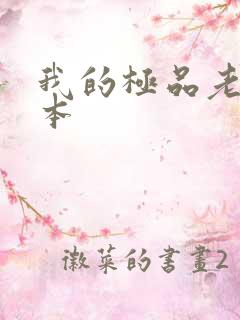 我的极品老婆全本