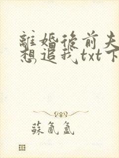 离婚后前夫总是想追我txt下载