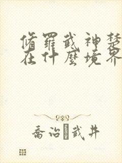 修罗武神楚枫现在什么境界