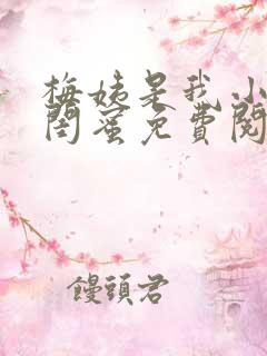 梅姨是我小妈的闺蜜免费阅读