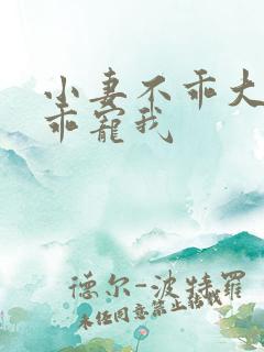 小妻不乖大佬乖乖宠我