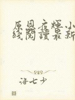 原恩夜辉小说在线阅读最新章节