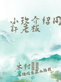 小玫介绍同学给许老板