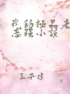 我的极品老婆方志强小说