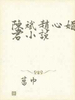 陈斌赵心媚高婉君小说