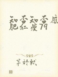 知否知否应是绿肥红瘦79