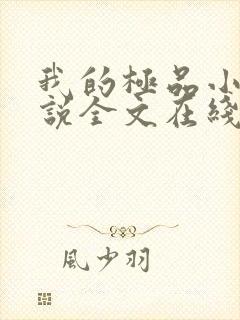 我的极品小姨小说全文在线阅读