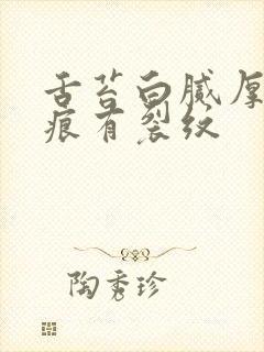 舌苔白腻厚有齿痕有裂纹