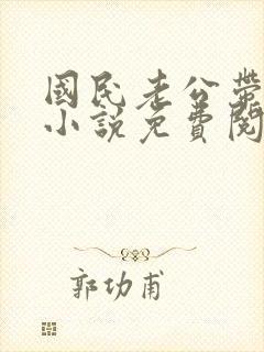 国民老公带回家小说免费阅读