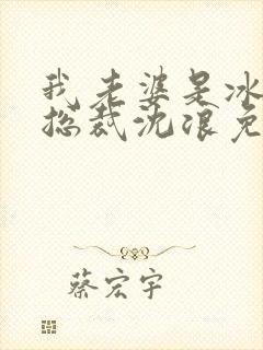 我老婆是冰山女总裁沈浪免费阅读