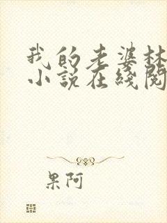 我的老婆林慧茹小说在线阅读无弹窗