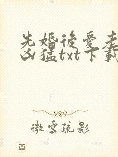 先婚后爱老公很凶猛txt下载