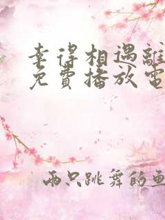 幸得相遇离婚时免费播放电视剧