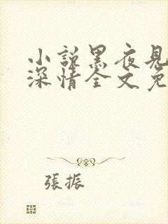 小说黑夜见过他深情全文免费阅读