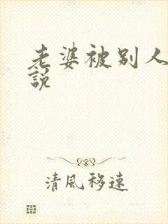 老婆被别人操小说