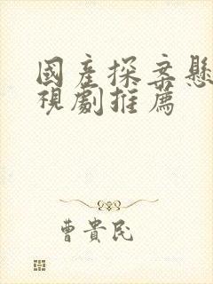 国产探案悬疑电视剧推荐