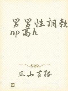 男男性调教小说np高h