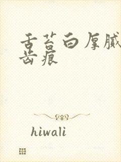 舌苔白厚腻 有齿痕