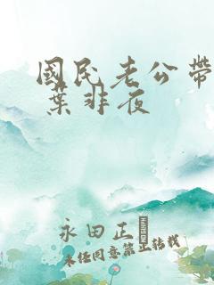 国民老公带回家 叶非夜