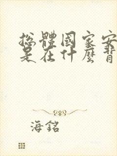 总体国家安全观是在什么背景下形成的