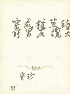 穿成校草的炮灰前男友 揽天星