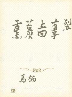 舌苔上有裂痕是怎么回事