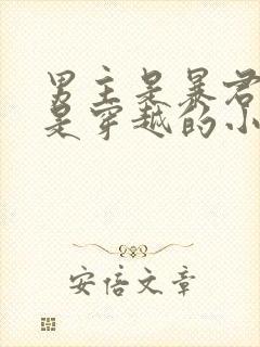 男主是暴君女主是穿越的小说