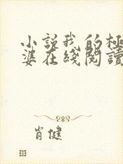 小说我的极品老婆在线阅读全文