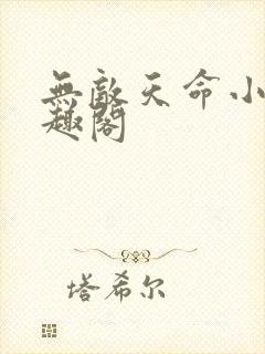 无敌天命小说笔趣阁