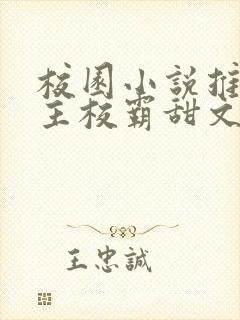 校园小说推荐男主校霸甜文