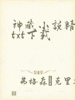 神藏小说精校版txt下载