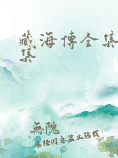 藏海传全集31集