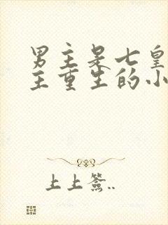 男主是七皇子女主重生的小说