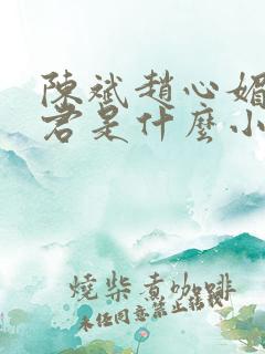 陈斌赵心媚高婉君是什么小说