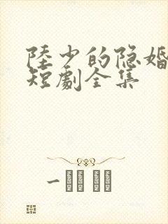 陆少的隐婚罪妻短剧全集