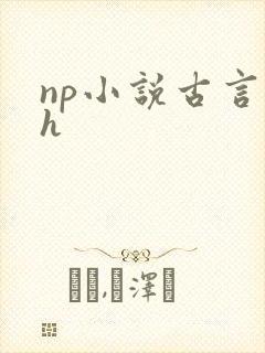 np小说古言高h