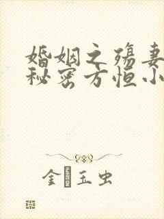 婚姻之殇妻子的秘密方恒小说在线阅读