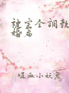 被完全调教的新婚篇