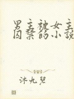 男主被女主改造囚禁的小说