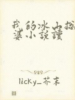 我的冰山总裁老婆小说读