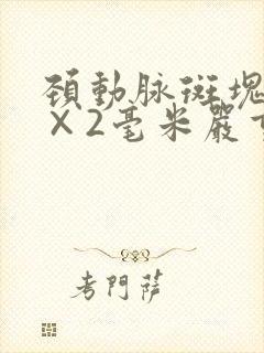 颈动脉斑块23×2毫米严重吗