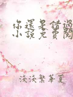 你还是错过了我小说免费阅读全文