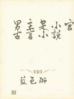 男主是小官吏的古言小说